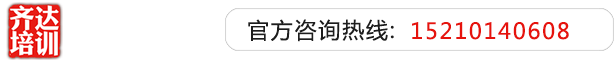 www屌戳阴道免费齐达艺考文化课-艺术生文化课,艺术类文化课,艺考生文化课logo